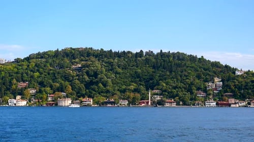 Explore Serene Waterfront Homes Along the Lush Green Hillside