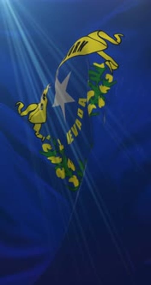 Nevada Flag