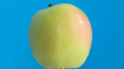 Perfect Fresh Green Apple Isolated on Blue Background Close Up of Rotating Apple Vertical Video