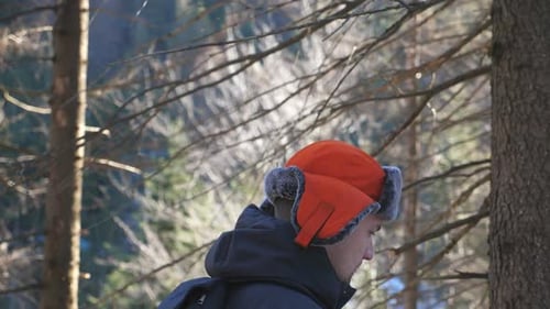 Side View of Young Guy with Backpack Walking on Pine Forest at Sunny Day