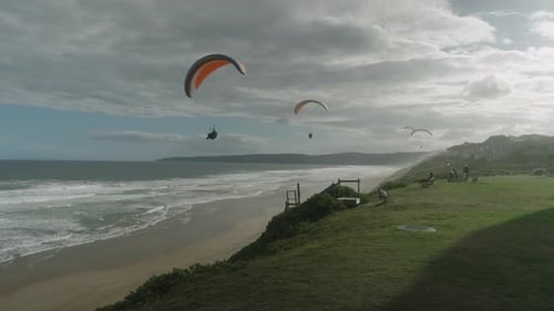 Paragliders flying by the beach