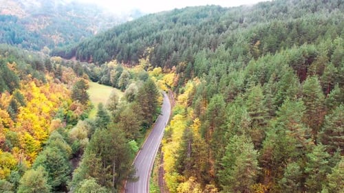 Aerial View of Rural Road with Black Car in Yellow and Orange Autumn Forest
