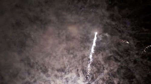 Colorful Fireworks Bursting in the Night Sky