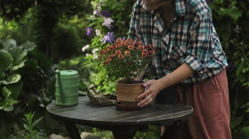 Woman Gardens with Flowers Outside on Table