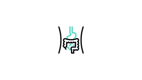 Digestive System Animated Icon