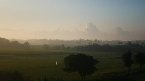 sunrise in tropical forest