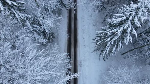 Aerial View Of Asphalt Road With Snowy Trees In Winter Near Village Of Deby In Poland.