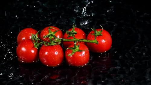 Tomatoes Falling Into The Water With a Splash and Bubbles on Black Background