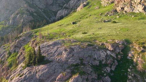Rocky Mountain Slope with Lush Green Grass and Sunlight