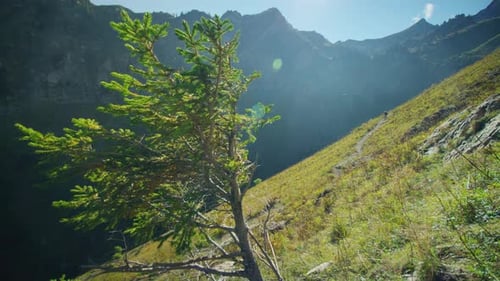 A cyclist rides through a high alpine valley in autumn