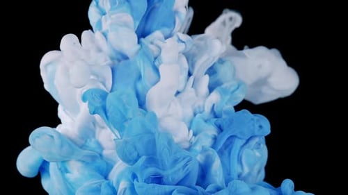 Whispering Tide Fluid Art Journey of Blue and White Color Paint Drops in Water Abstract Colors Mix