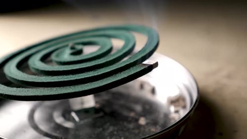 Mosquito Coil Repellent
Close Up Of Mosquito Coil