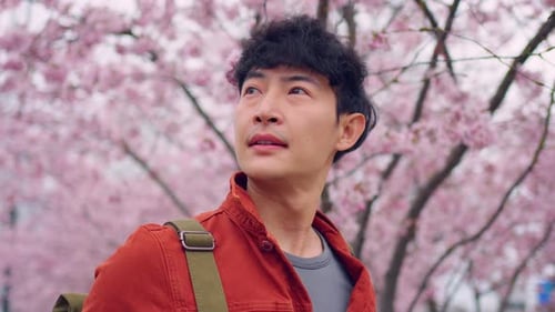 Asian attractive man backpacker walking around beautiful road in city.