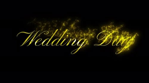 Wedding day title animation. Wedding day intro. The wedding of text reveal. Golden particle effect.