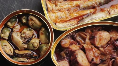 Canned Mussels Sardines and Octopus Close-up