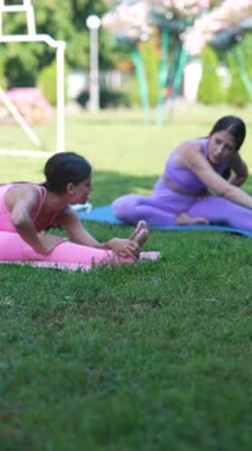 Yoga Session with a Group in the Park During a Summer Day