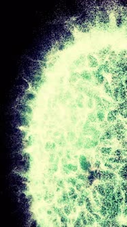 Abstract Lighting Dust Particle and Glare on a Dark Background