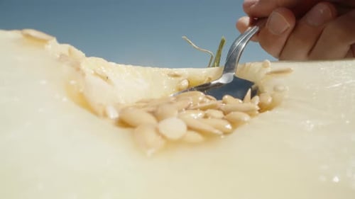 Dans
un demi-melon, retirez les graines à l'aide d'une cuillère. Soleil, ciel bleu.