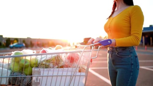 Closeup do carrinho de comida