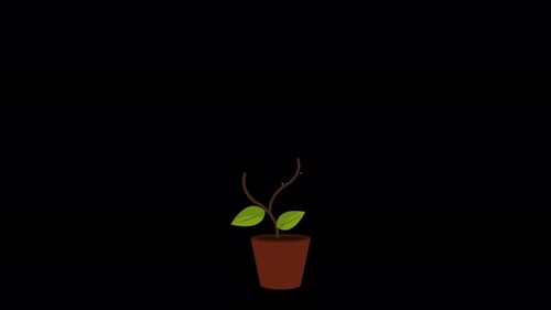 Money and Business Profits Alpha Channel 4K