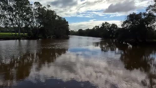 Cloudy sky reflected on a calm river surrounded by lush trees and greenery on a peaceful day