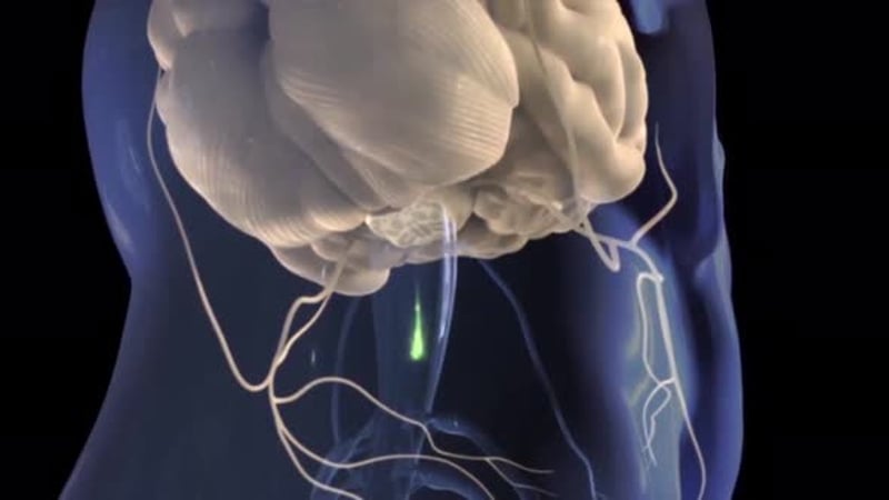 3D Medical Animation: Molecular Interaction with Cells, Backgrounds ...