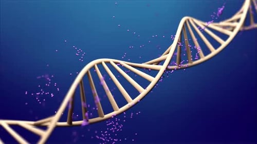 Rotating DNA Helix with Particle Effect