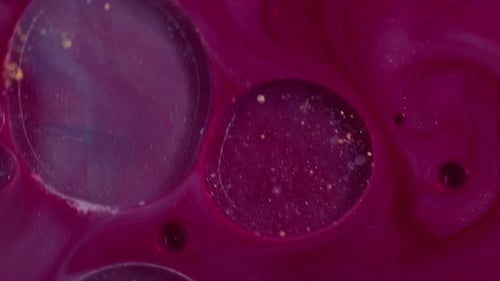 Abstract Fluid Swirls with Pink and Blue Tones