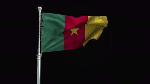 Cameroon Flag Waving with Realistic Fabric Physics