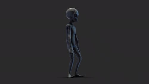 3D Grey Alien Character Standing Idle Animation