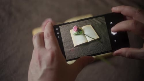 Hands Taking Picture of Rose on Open Book