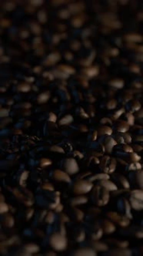 Roasted Coffee Beans Falling Close-up Loop Animation