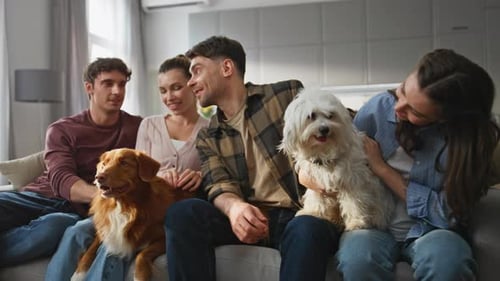 Friends Relaxing on Sofa with Dogs
