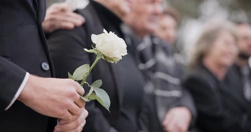 Hands, rose and a person at a funeral in a cemetery in grief while mourning loss at a memorial