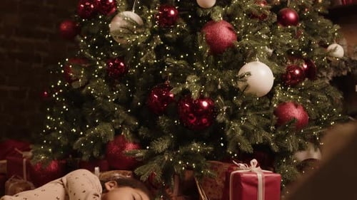 Child Sleeping Under Christmas Tree with Presents