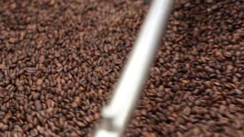 Roasted Coffee Beans Stirring in Roasting Machine