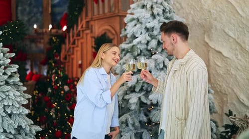 Casal alegre comemorando o feriado com um brinde festivo