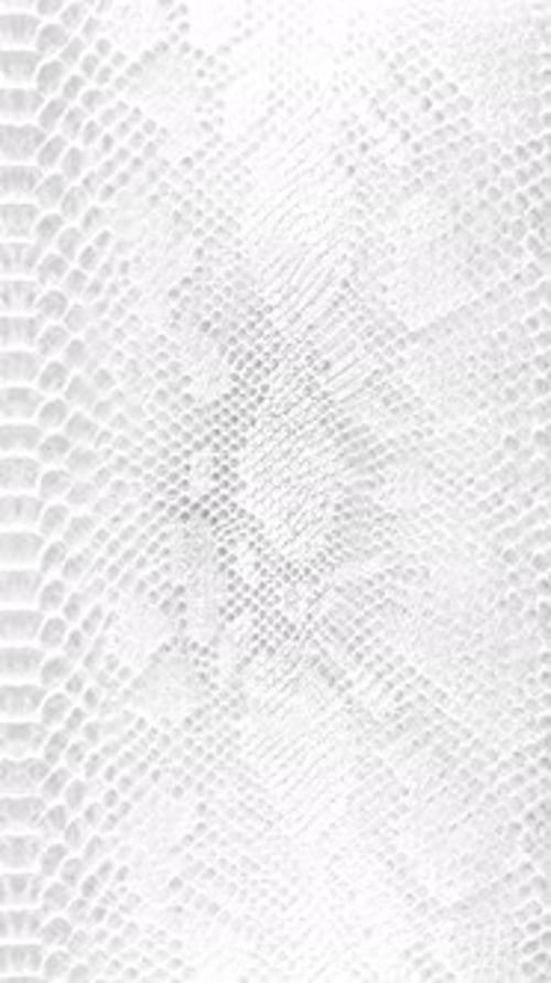 textura de fundo de paralaxe abstrata de pele de cobra branca Vídeo vertical