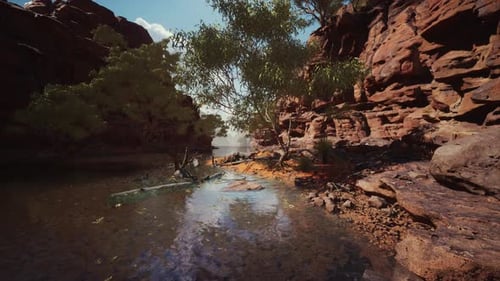 Colorado River with Gorgeous Sandstone Walls and Canyons