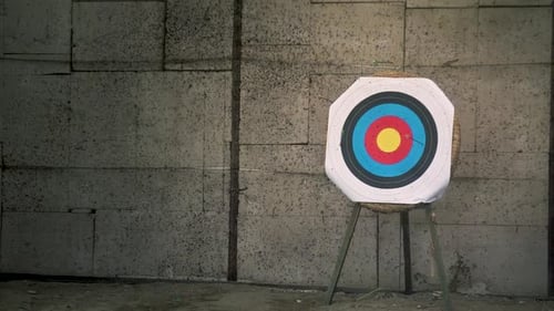 Archery Target with Arrows in Bullseye