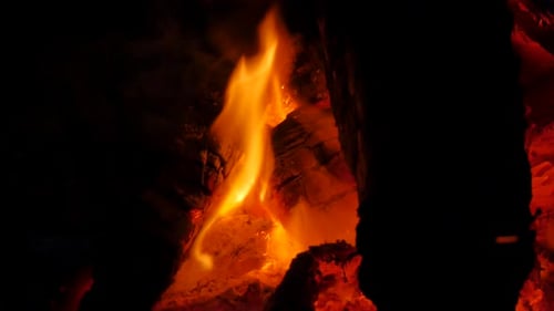 Camp fire flames at night