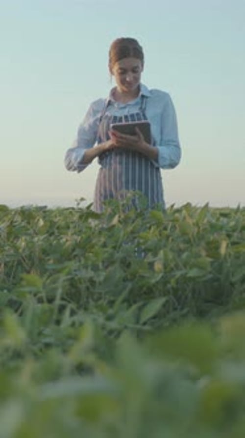 A Woman in an Apron Monitors Her Crops in Sustainable Farming for Environmental Care and Growth