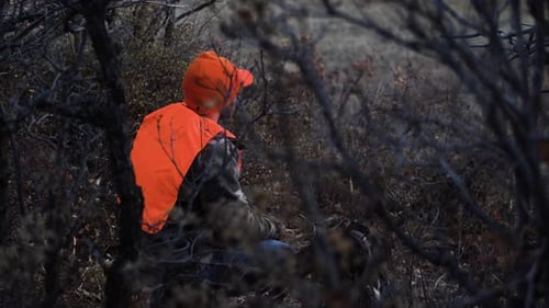Man in Camouflage Sits Still in Woods