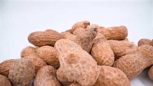 Delicious Whole Peanuts in Shells on White