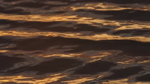 Nahaufnahme von Meereswellen bei Sonnenuntergang