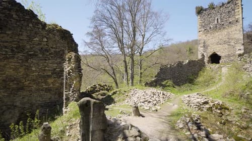 Ancient Ruins on a Rock in a Forested Landscape