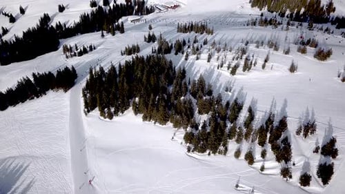 Aerial view of People Skiing and snowboarding on hill, Ski Resort. Drone flies over Skiers Skiing do