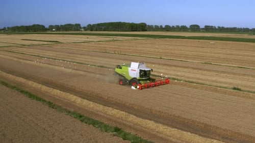 drone view of a harvester on a field filled with birds