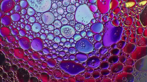 Abstract Colorful And Shiny Oil Bubbles Circles Background 22