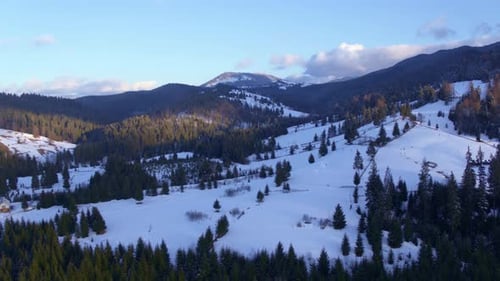 Flying Over Snowy Mountain Slopes and Coniferous Forest in Winter Sunlight